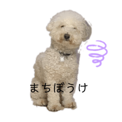 ロン　2020②
