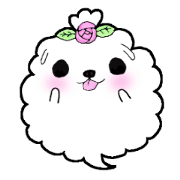 My littre maltese dog Vivi