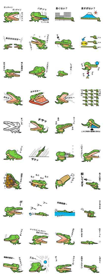 alligator and daily life