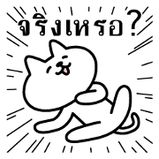 Cat lying down 5 Thailand