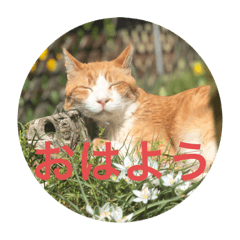 tg.Yukkiina.tg_20200514170202