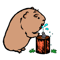 Ms.Morupopo (Thai version)