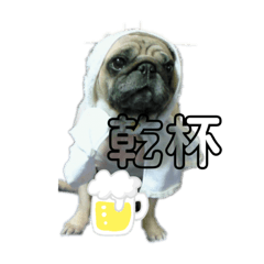 sye pug