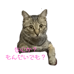 hikari_20200514172335