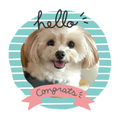 cocoa_20200514183104