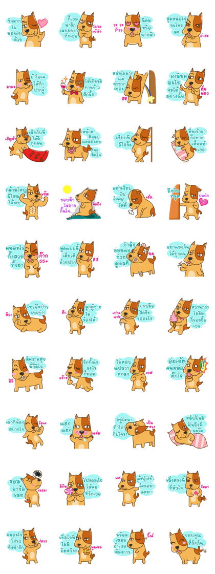 Kak Kung playboy dog