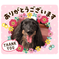 Nagisa_20200514134923