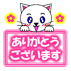 Shiro (white cat) "The cats 2"