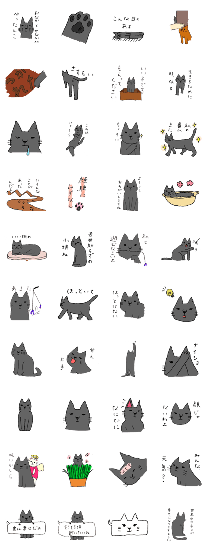 Abandoned cat Nona