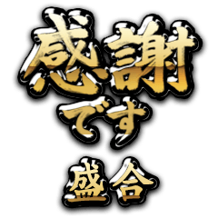 【盛合】金の筆文字（感謝）