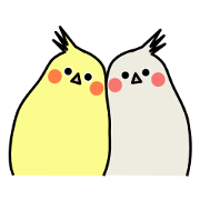 Leisurely Cockatiel