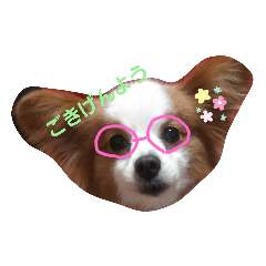 yun_20200514124103