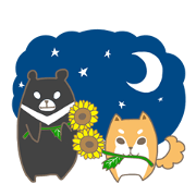Shiba Inu A-Nuo