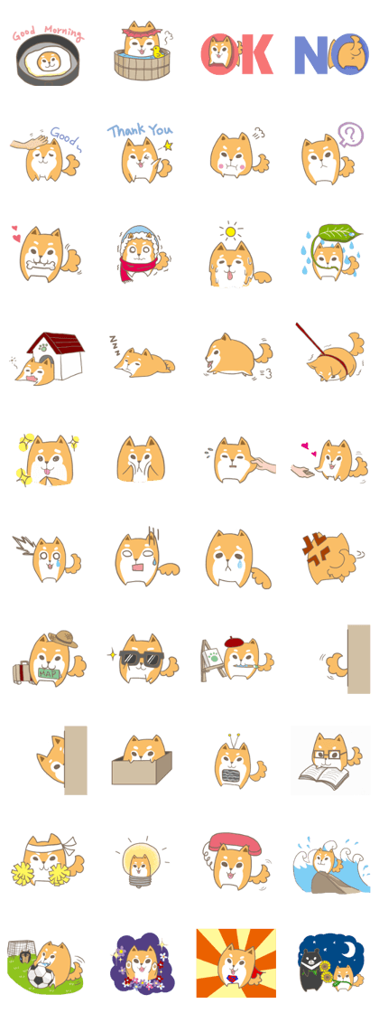 Shiba Inu A-Nuo