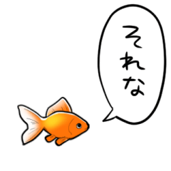talking goldfish