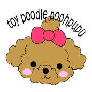 toy poodle poohpupu2