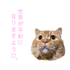 Chura Kun