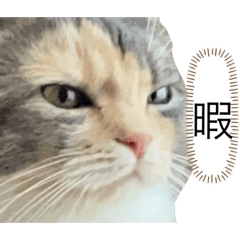 muginosutanpu20170913