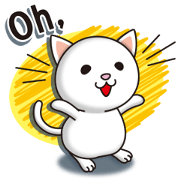 The white cat which conveys a feeling.