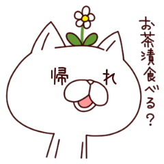 A Flower Cat 2