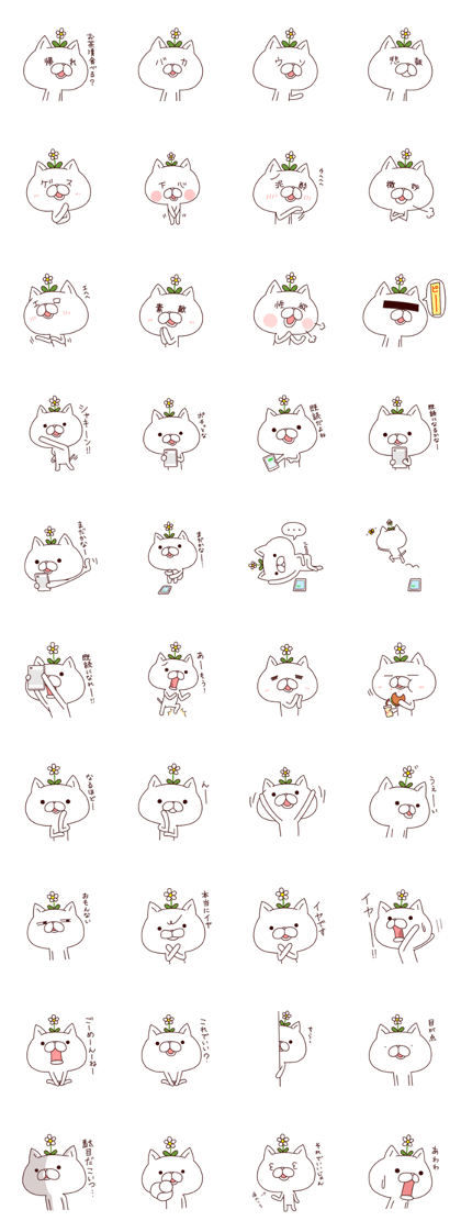 A Flower Cat 2