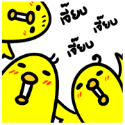 Office of Little Chicks