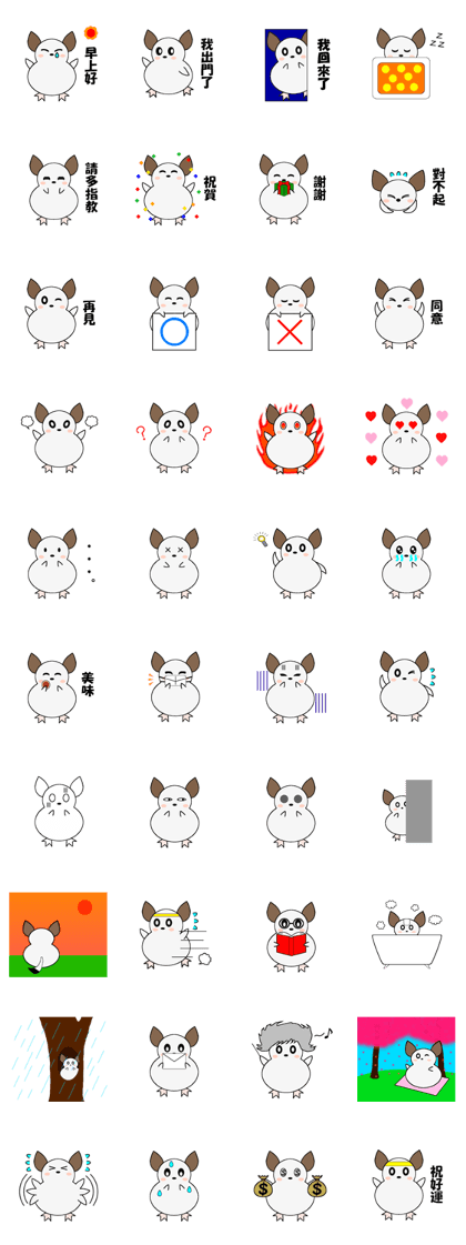 chinchillas of Chichi in Chinese