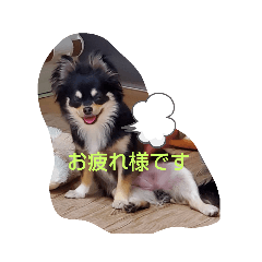 suzublack