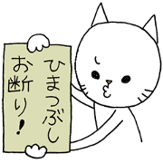Annoying white cat