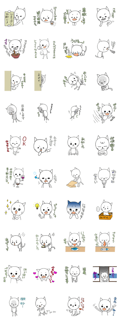 Annoying white cat