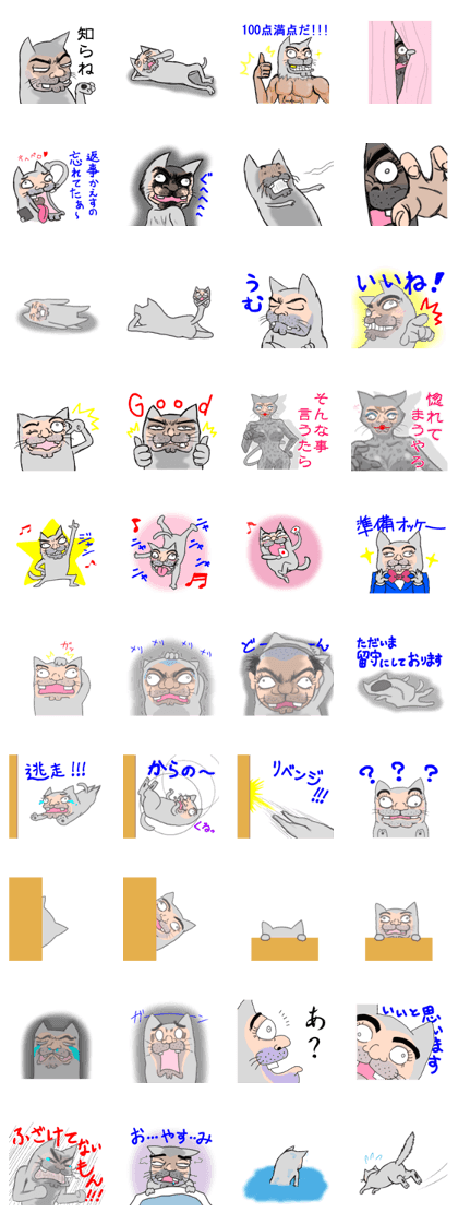 Ugly face of the cat