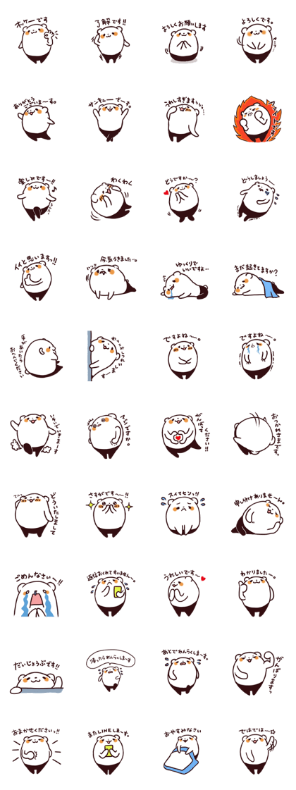 Overweight bear (Polite word)