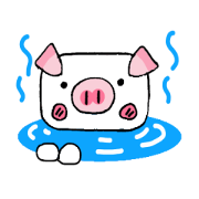 Daisy of piglets