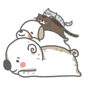 Chiau bear