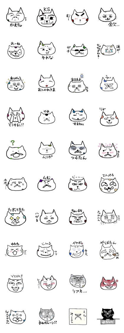 Cat spotted kun