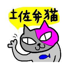 JAPAN Kochi CAT