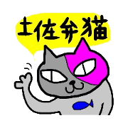 JAPAN Kochi CAT