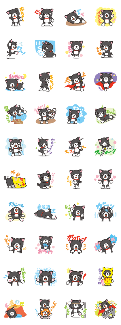Nya-san of black cat