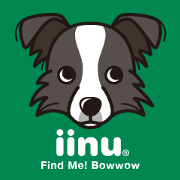 iinu - Border Collie