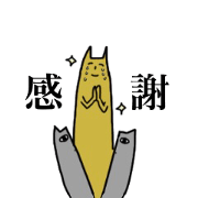 i want to say thank you to you