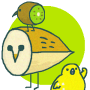 Barn owl & Funny birds !