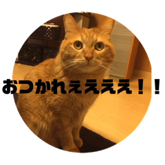 mizuki_20200514222855