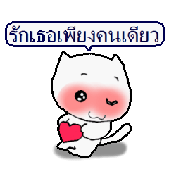 Message cat Thai version