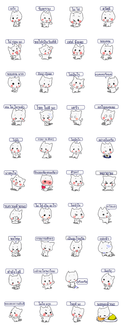 Message cat Thai version