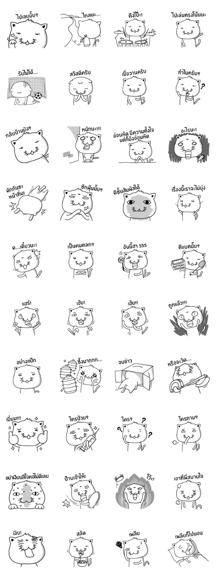 TUNGMAE the funny cat