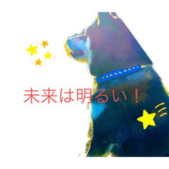 RINGO_20200514235210