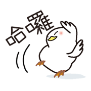 Drunkard exclusive use, white birdTaiwan