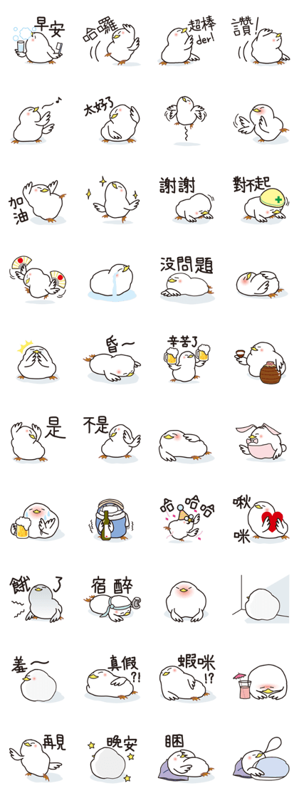 Drunkard exclusive use, white birdTaiwan