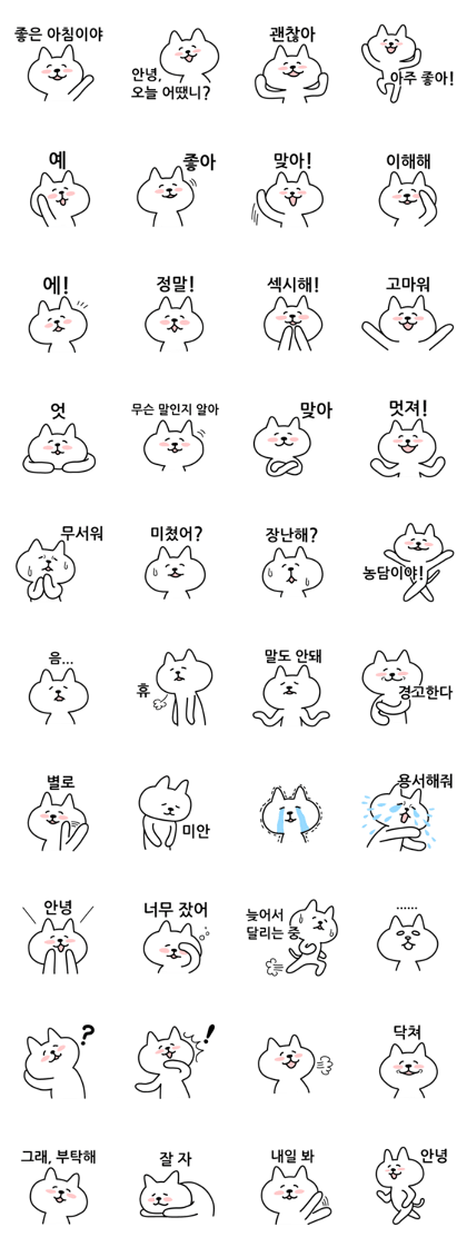 Friendly talking cat South Korea