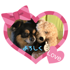 A family dog